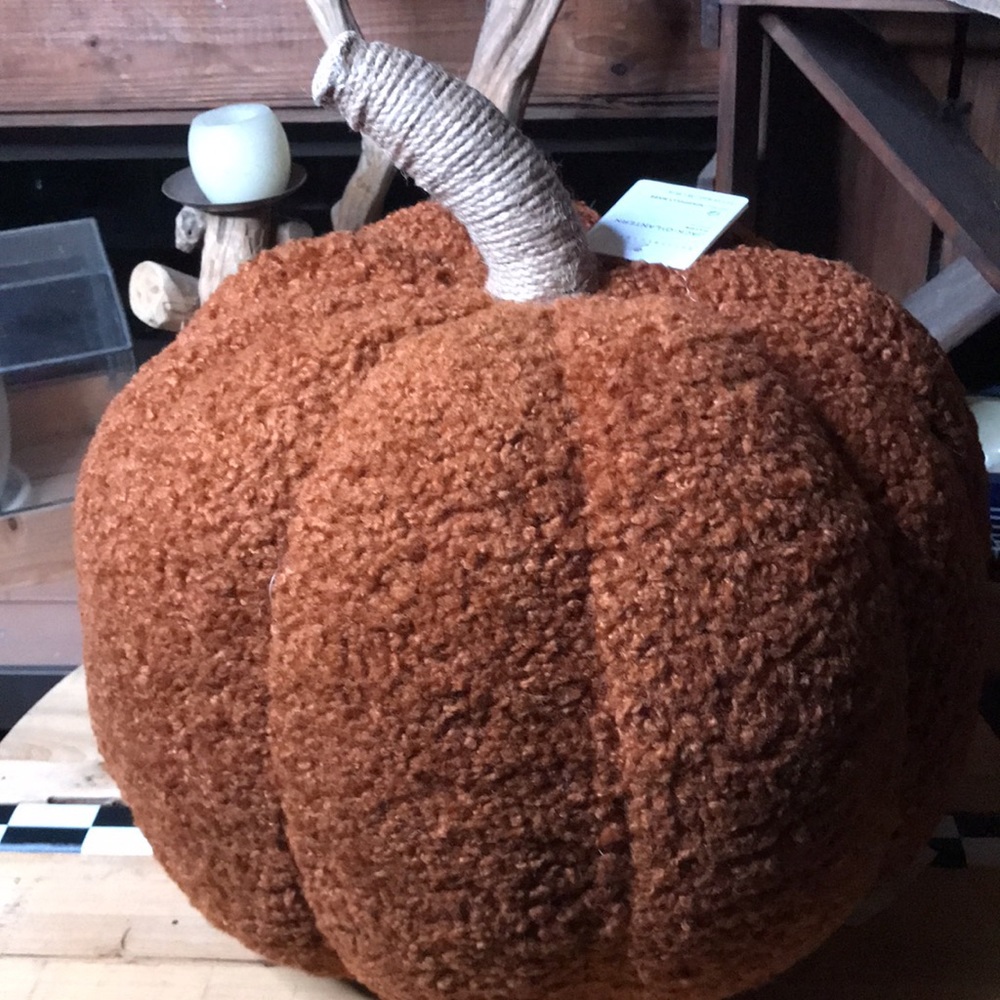 Pottery Barn Cuddly and Cute Spooktastic Jack-O-Lantern Pumpkin Pillow 🎃… - Picture 11 of 16